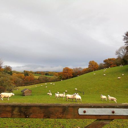 Apartamento Gwilym'S Stable Builth Wells Exterior foto