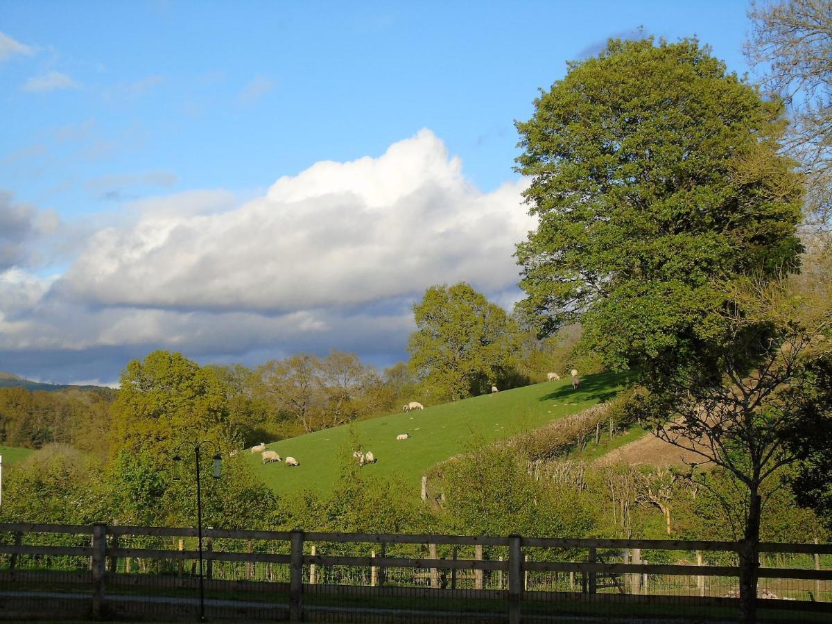 Apartamento Gwilym'S Stable Builth Wells Exterior foto